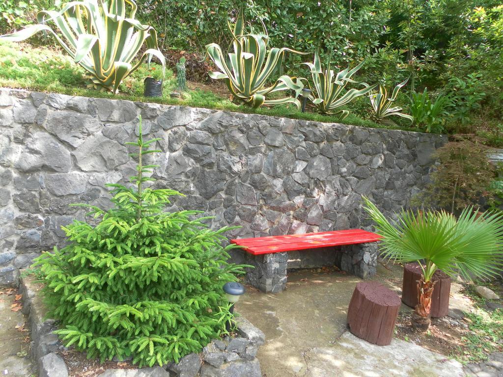 Holiday House Green Cape Batumi Hotel Mtsvane Konts'khi Buitenkant foto