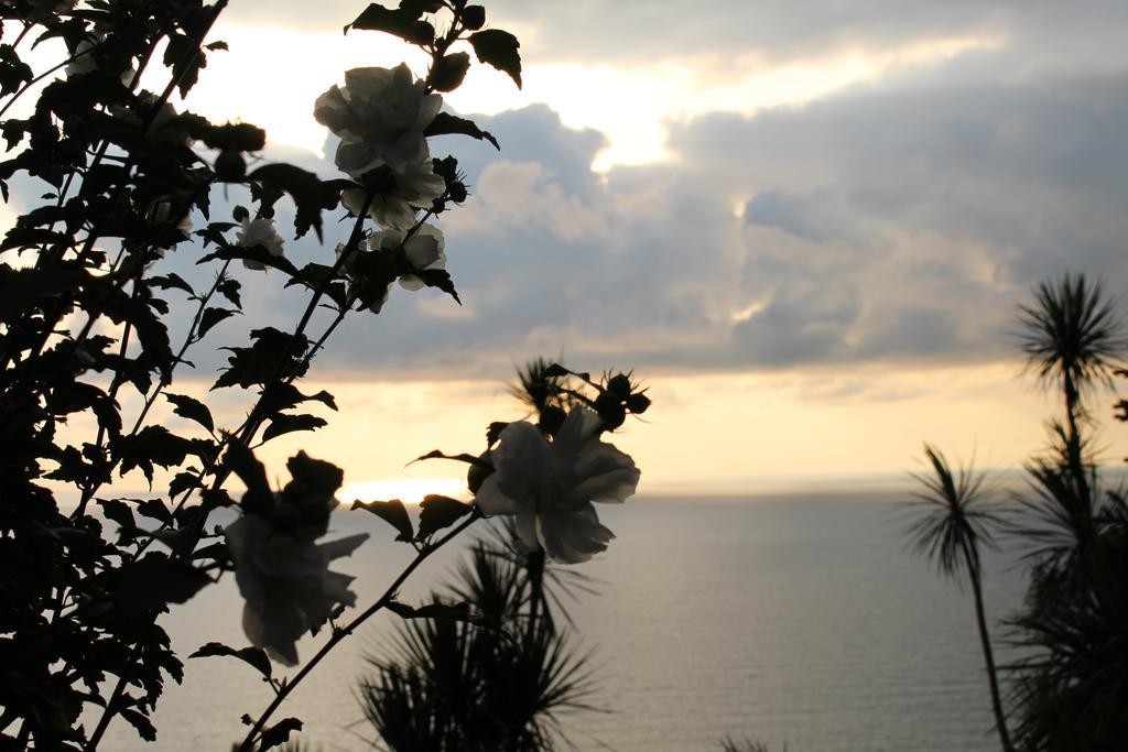 Holiday House Green Cape Batumi Hotel Mtsvane Konts'khi Buitenkant foto